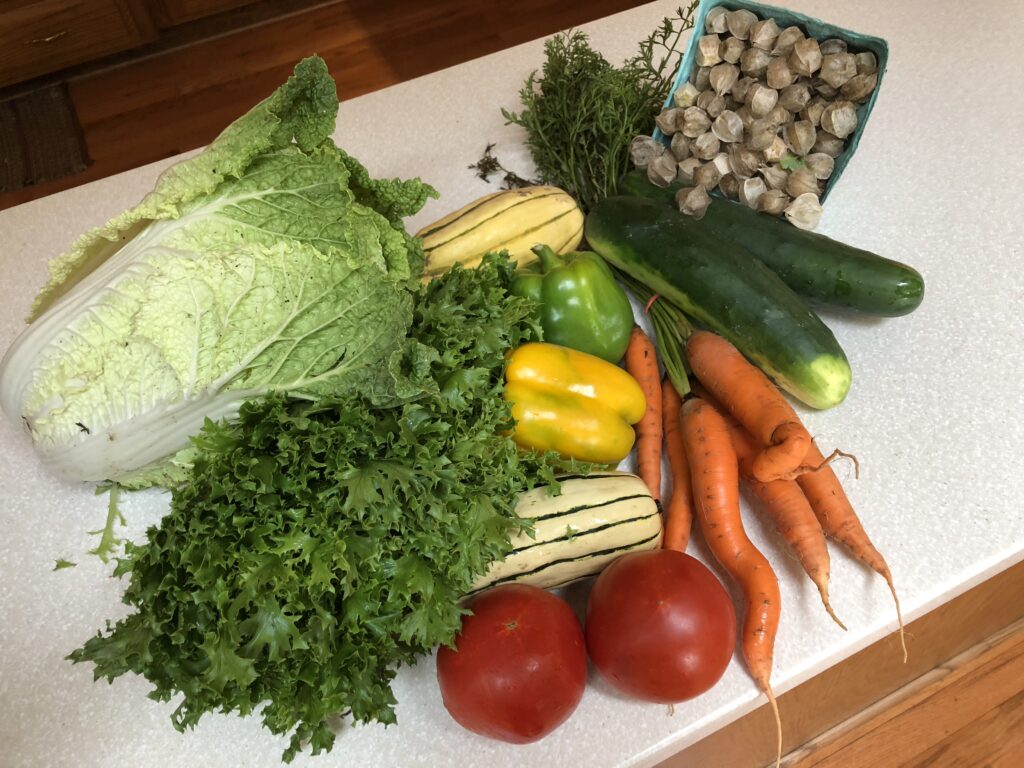 Vegetable share from Fruitful Hills CSA